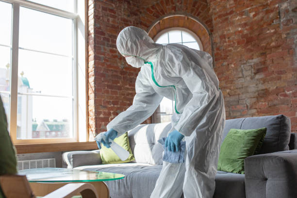 Professional Mold Removal in Derwood, MD